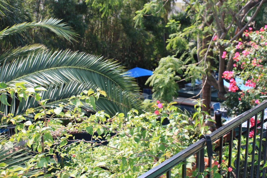 نيو أورلينز The Green House Inn المظهر الخارجي الصورة